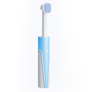 Electric Brush