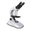 Microscope