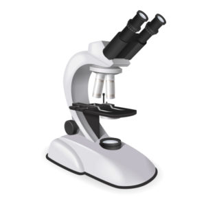 Microscope